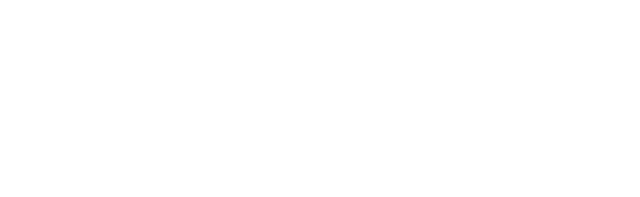 Re/Max Professionals Inc., Brokerage